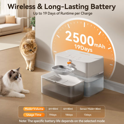 Cat Water Fountain with Wastewater Separation