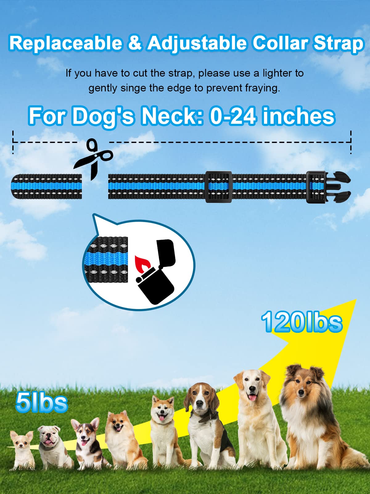 Dog Training Collar for 2 Dogs with 3300FT Remote
