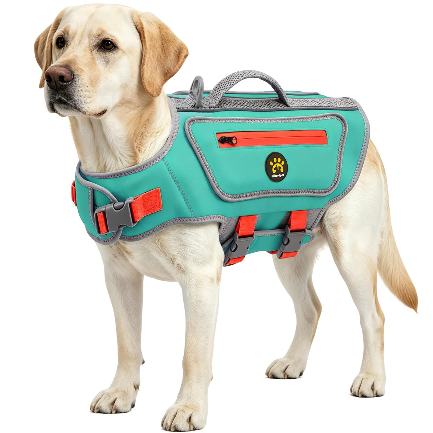 Dog Life Jacket with High Buoyancy and Visibility