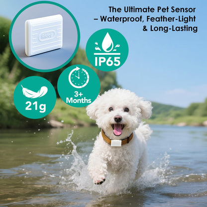 Automatic Dog Door with Smart Sensor Access