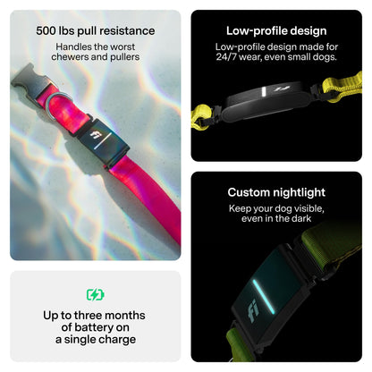 Smart GPS Dog Collar with Health Tracking