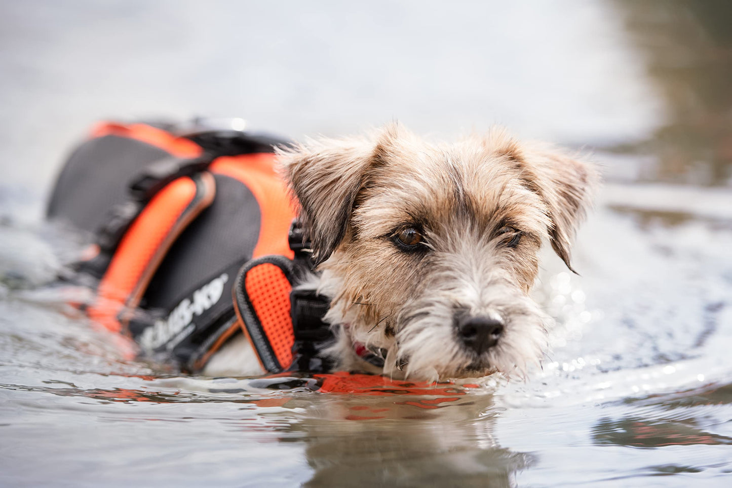 Julius-K9 Dog Harness with Secure Adjustable Fit