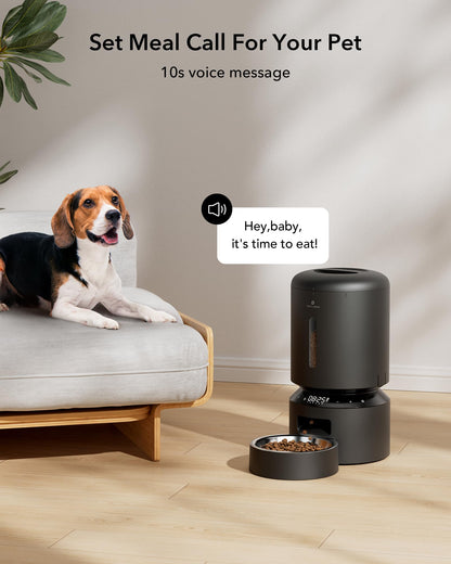 Automatic Pet Feeder with Dual Stainless Steel Bowls