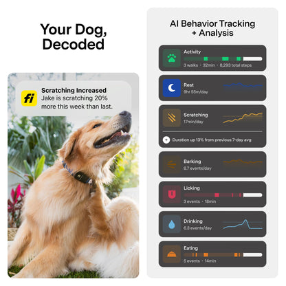 Smart GPS Dog Collar with Health Tracking