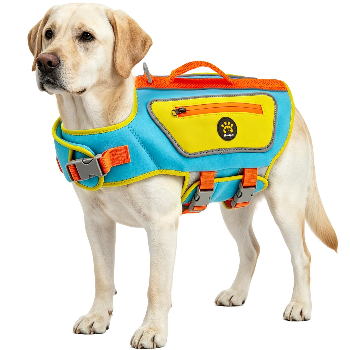 Dog Life Jacket with High Buoyancy and Visibility