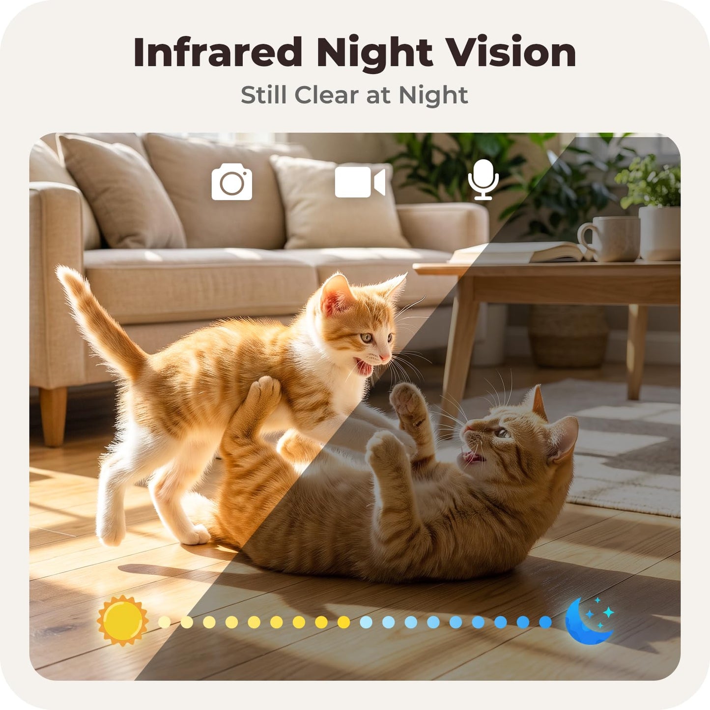 Inetzora Automatic Cat Feeder with 2K Camera: 5G WiFi Auto Dog Feeder - 6L