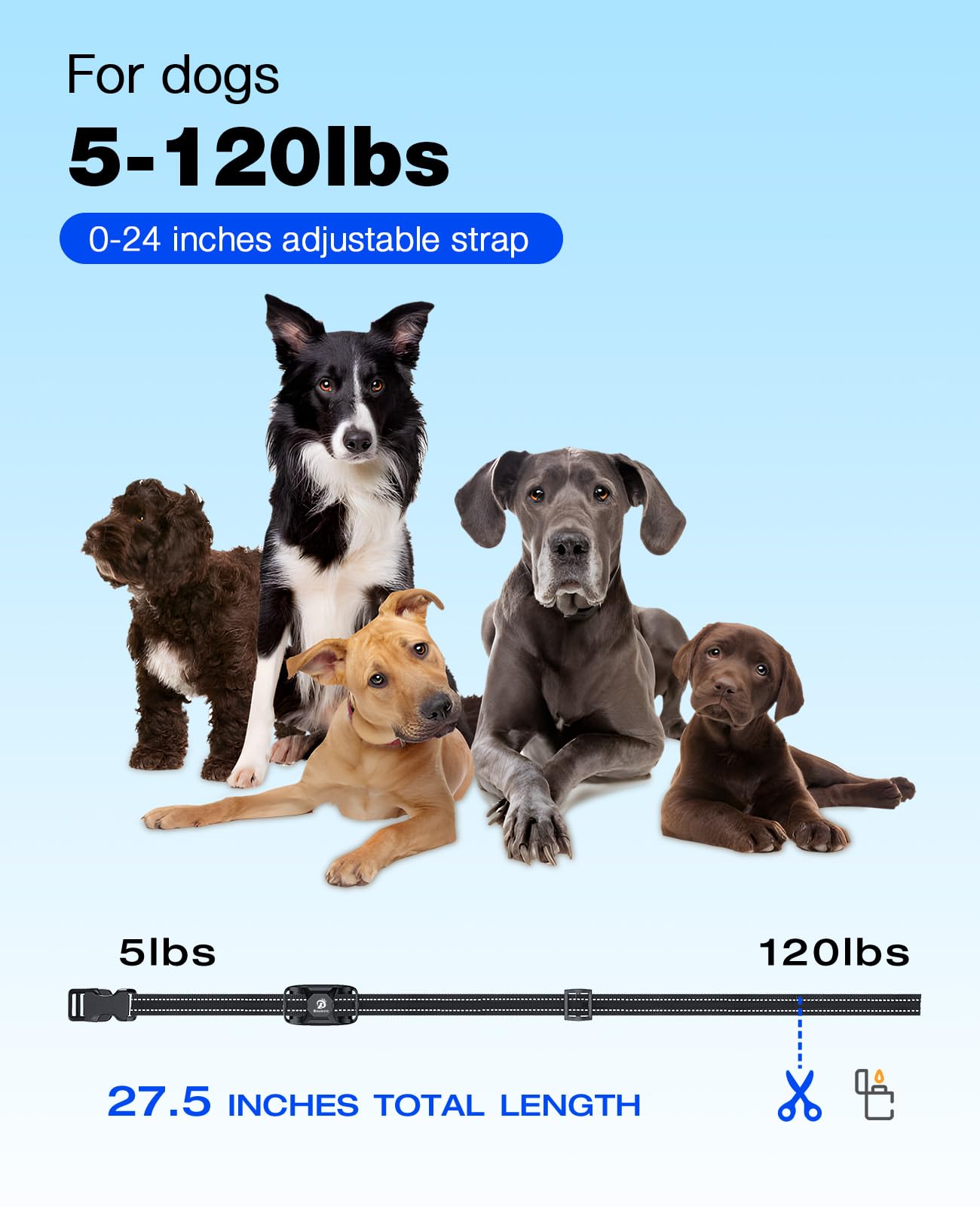 Dog Training Collar with Long-Range Remote Control