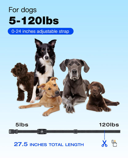 Dog Training Collar with Long-Range Remote Control