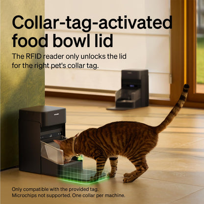Automatic Pet Feeder with RFID Collar Tag Access