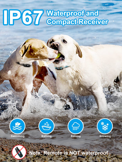 Dog Training Collar for 2 Dogs with 3300FT Remote