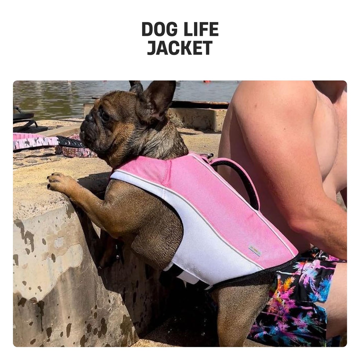 Dog Life Jacket with Grab Handle and Padded Fit