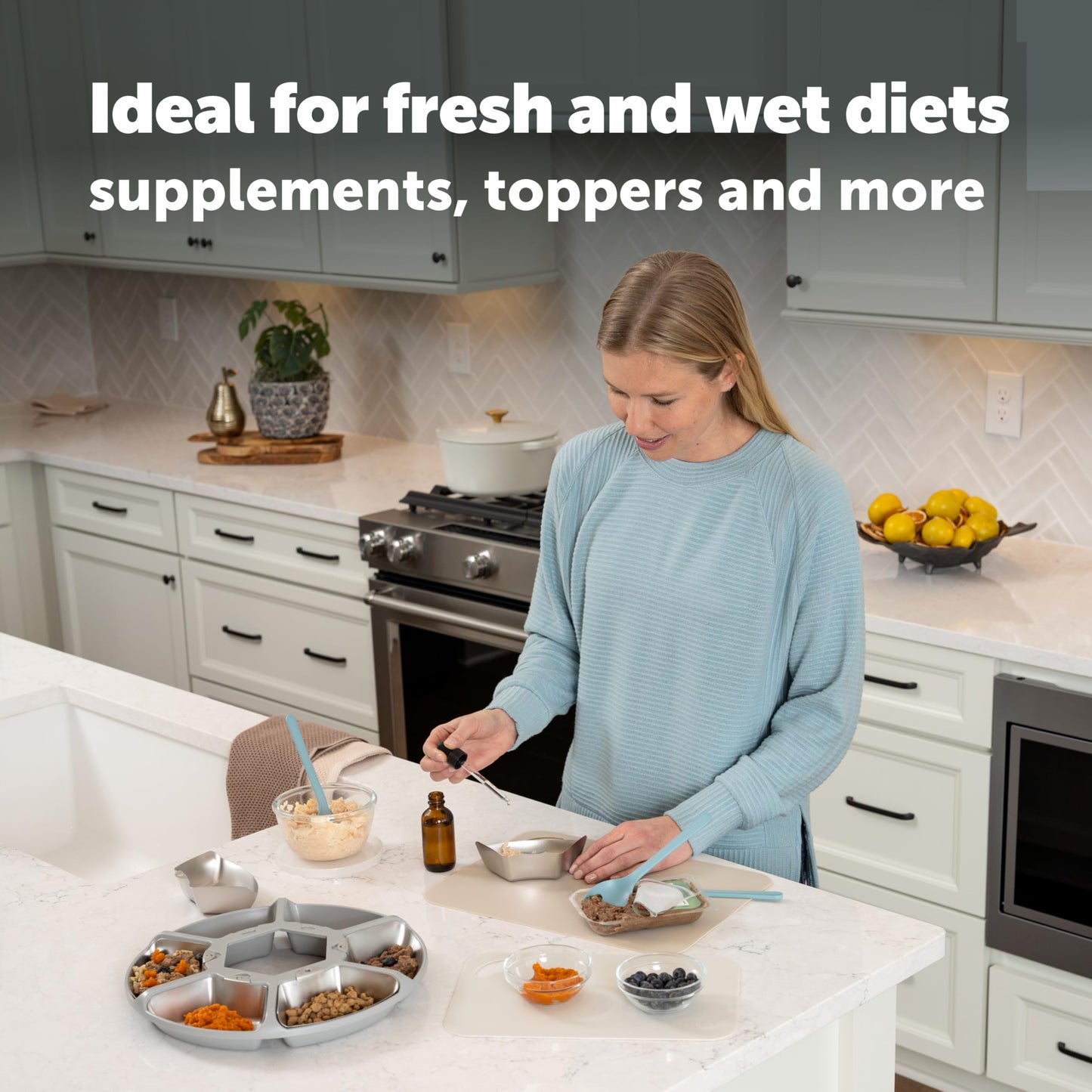 Automatic Wet Food Feeder with Refrigerated Storage