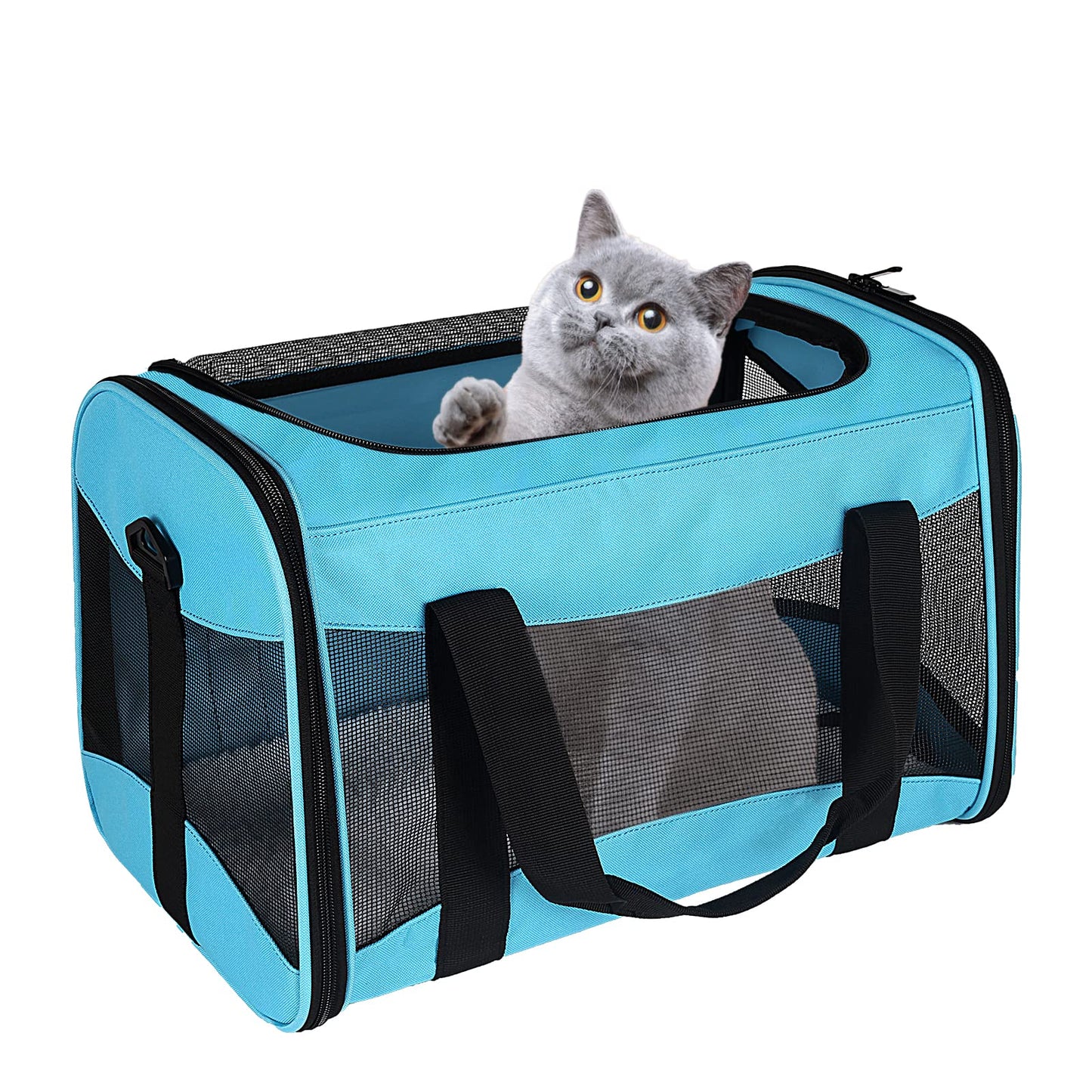 Airline-Approved Pet Carrier with Breathable Design