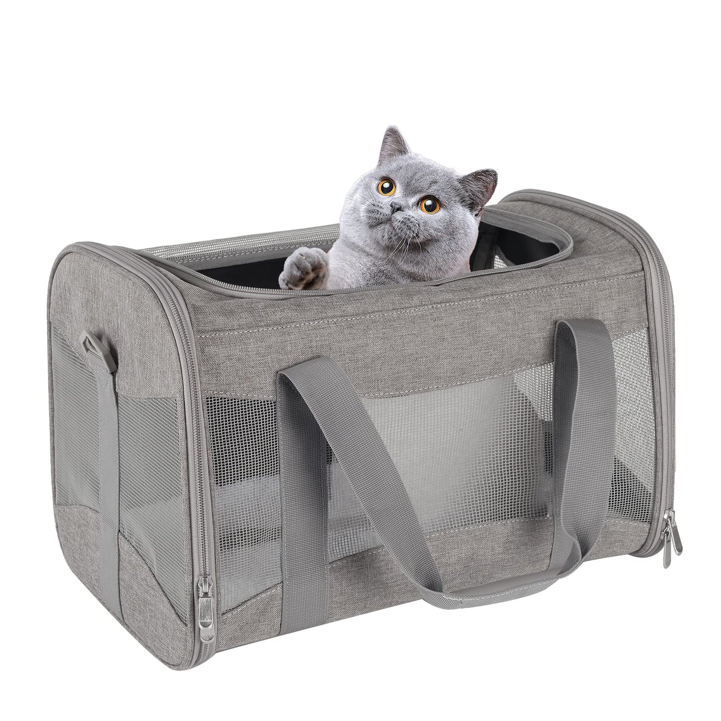 Airline-Approved Pet Carrier with Breathable Design