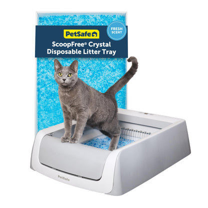 Smart Self-Cleaning Litter Box with App Monitoring