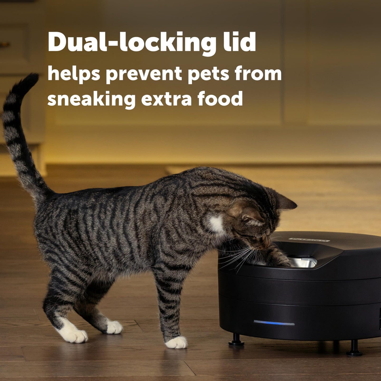 Automatic Wet Food Feeder with Refrigerated Storage