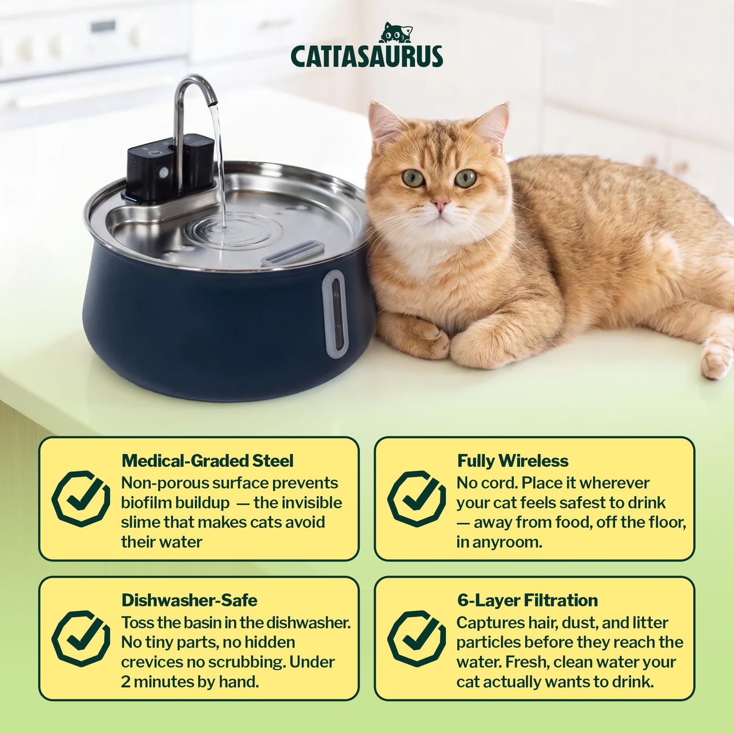 Stainless Steel Cat Water Fountain with Filtration