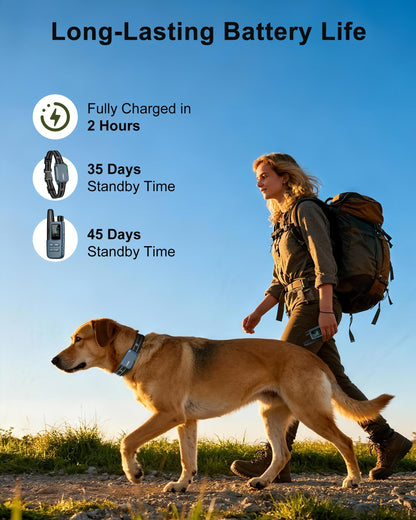 Dog Training Collar with 4500FT Remote Control