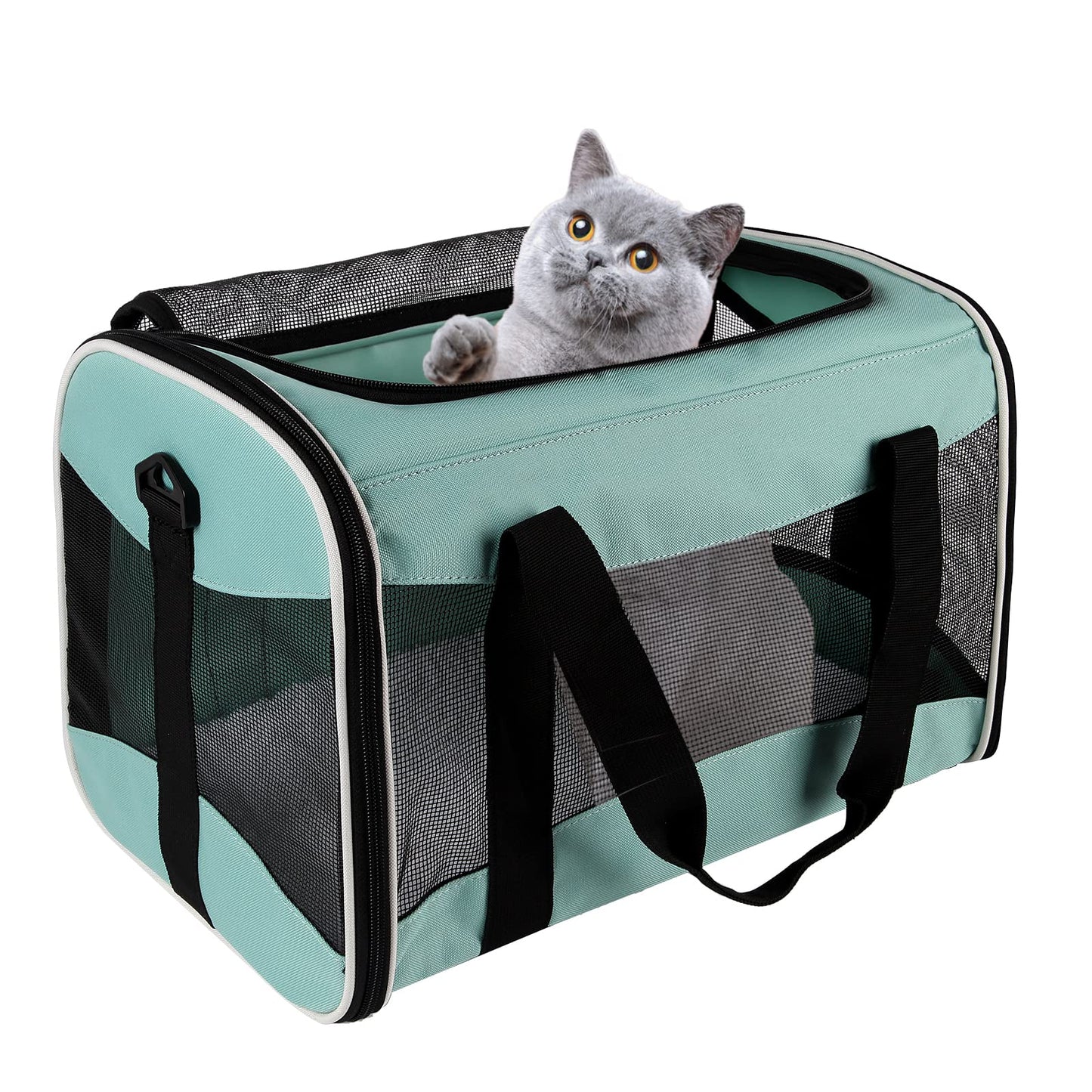 Airline-Approved Pet Carrier with Breathable Design