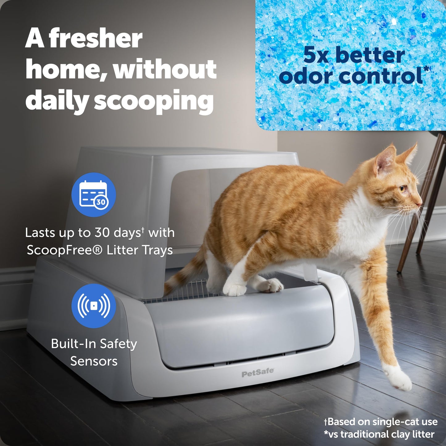 Smart Self-Cleaning Litter Box with App Monitoring