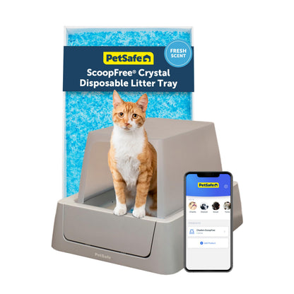 Smart Self-Cleaning Litter Box with App Monitoring