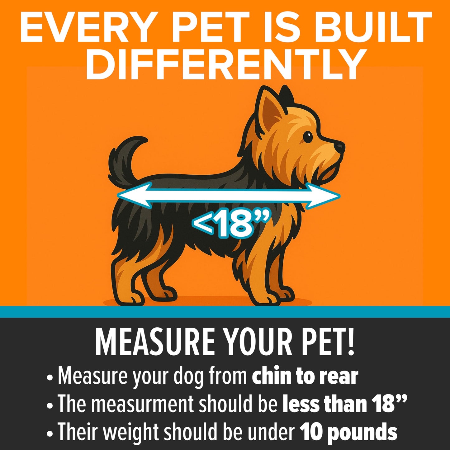Pet Travel Carrier with Safety-Focused Design