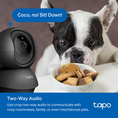 Pan-Tilt Pet Camera with Smart Motion Monitoring