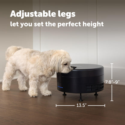 Automatic Wet Food Feeder with Refrigerated Storage