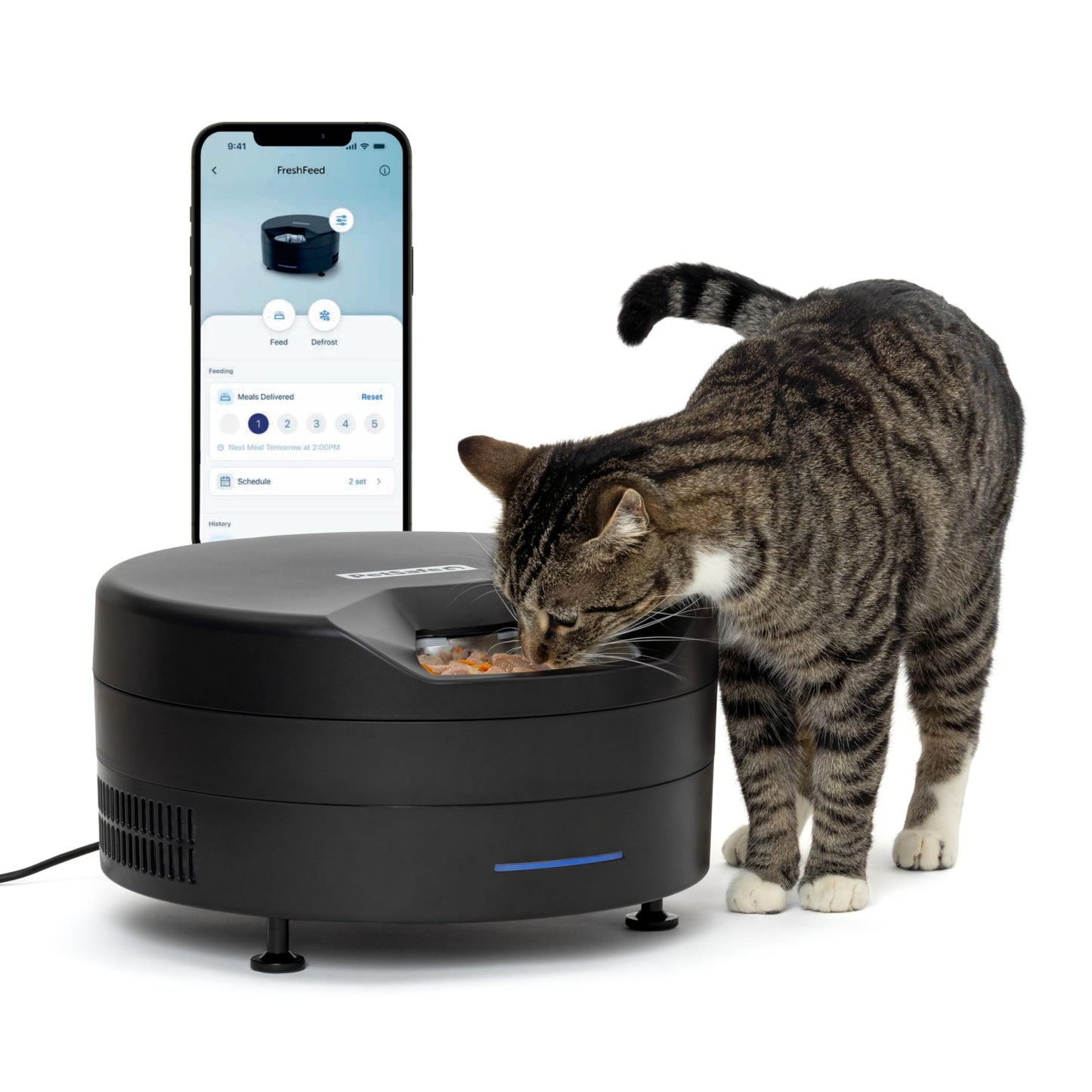Automatic Wet Food Feeder with Refrigerated Storage
