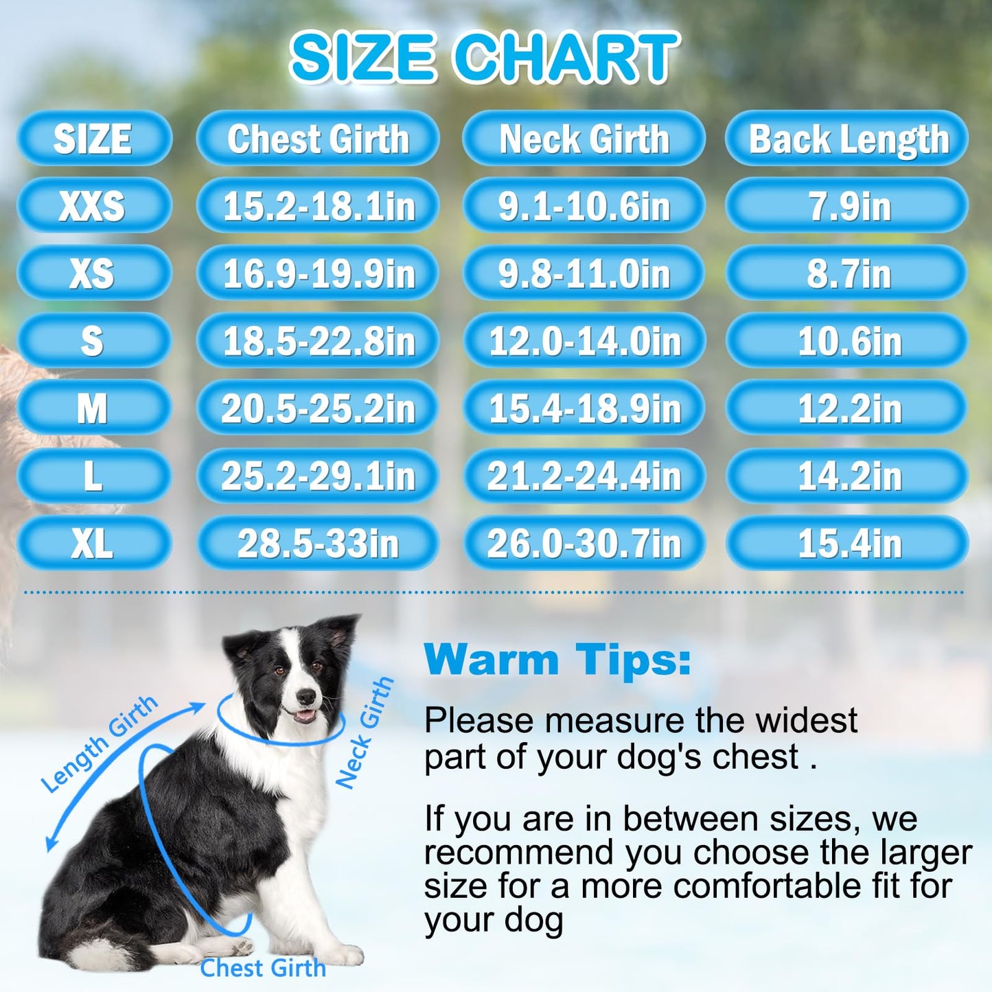 Dog Life Jacket with High Buoyancy and Visibility
