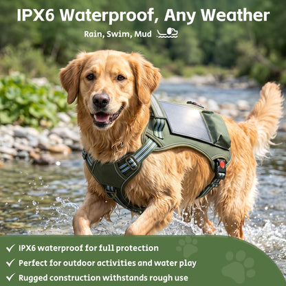 GPS Dog Fence with Real-Time Tracking and Solar Power