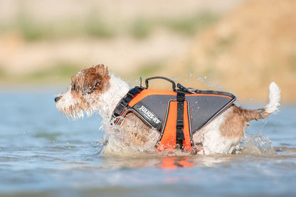 Julius-K9 Dog Harness with Secure Adjustable Fit