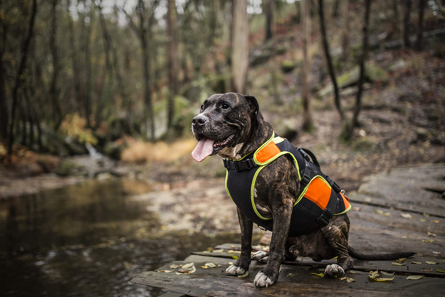Multifunctional 3-in-1 Dog Vest with Secure Fit