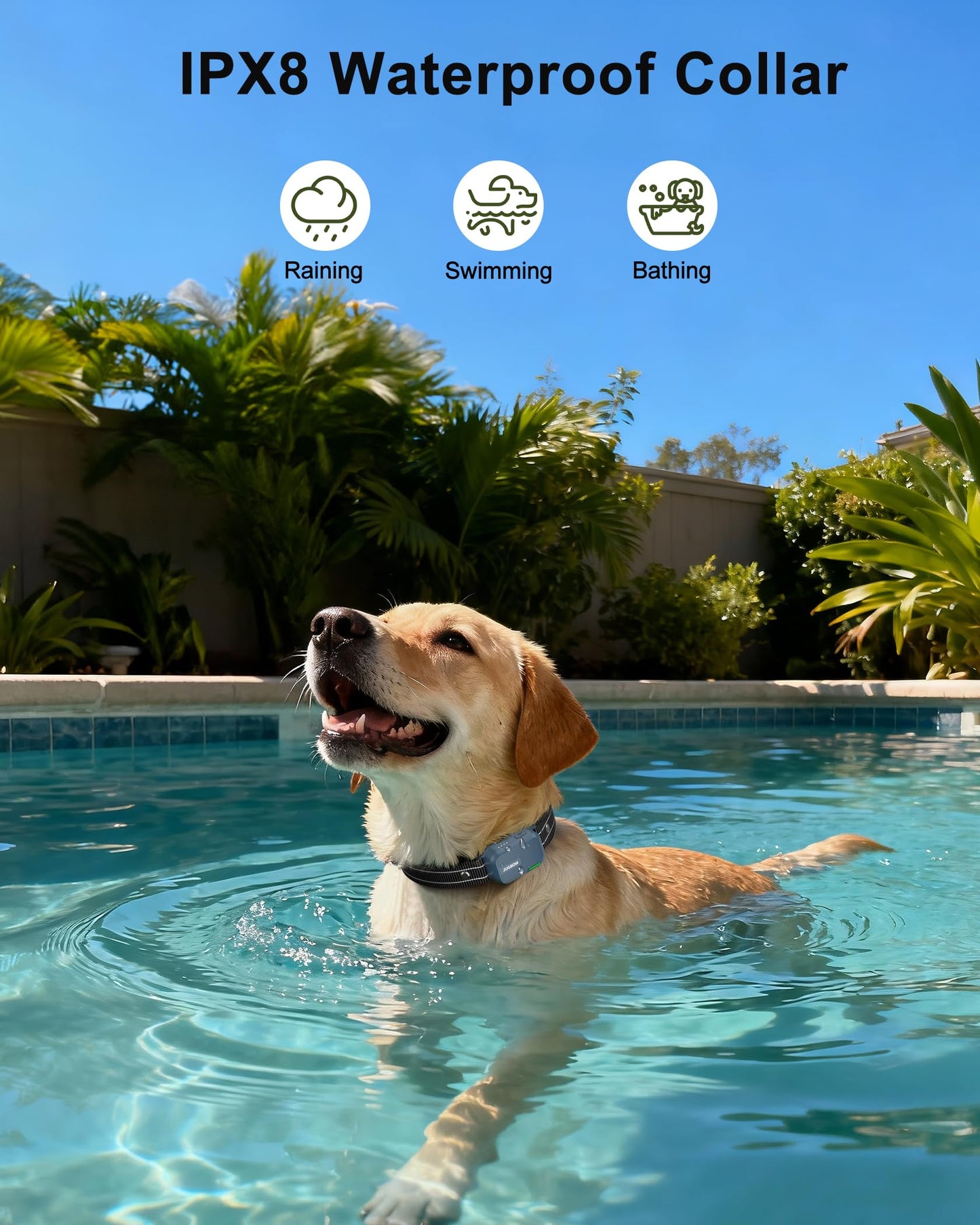 Dog Training Collar with 4500FT Remote Control
