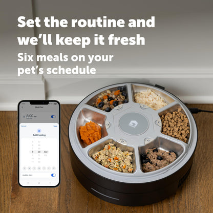 Automatic Wet Food Feeder with Refrigerated Storage