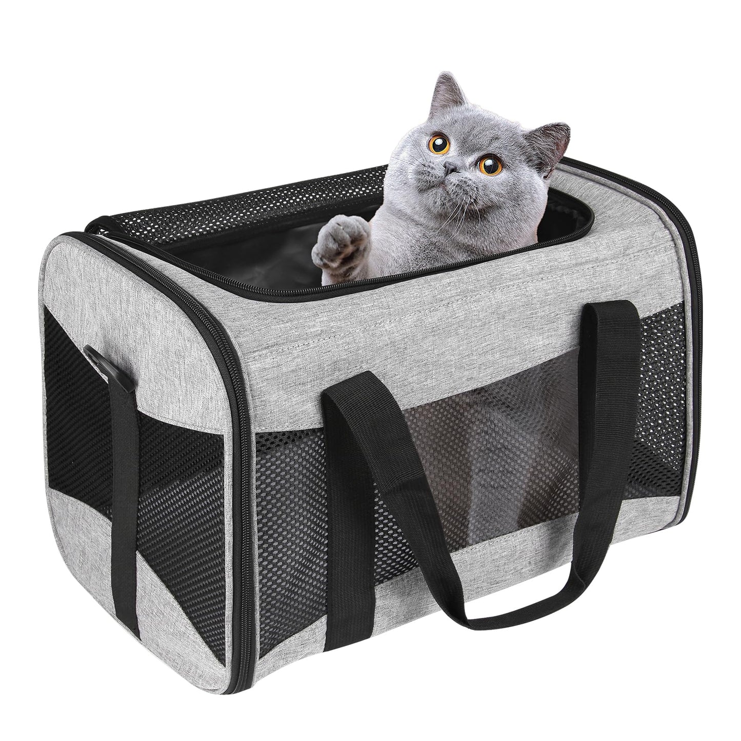 Airline-Approved Pet Carrier with Breathable Design