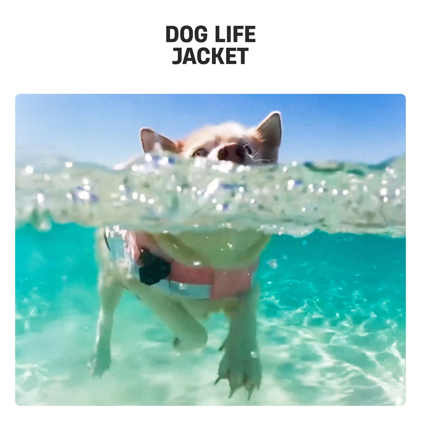 Dog Life Jacket with Grab Handle and Padded Fit