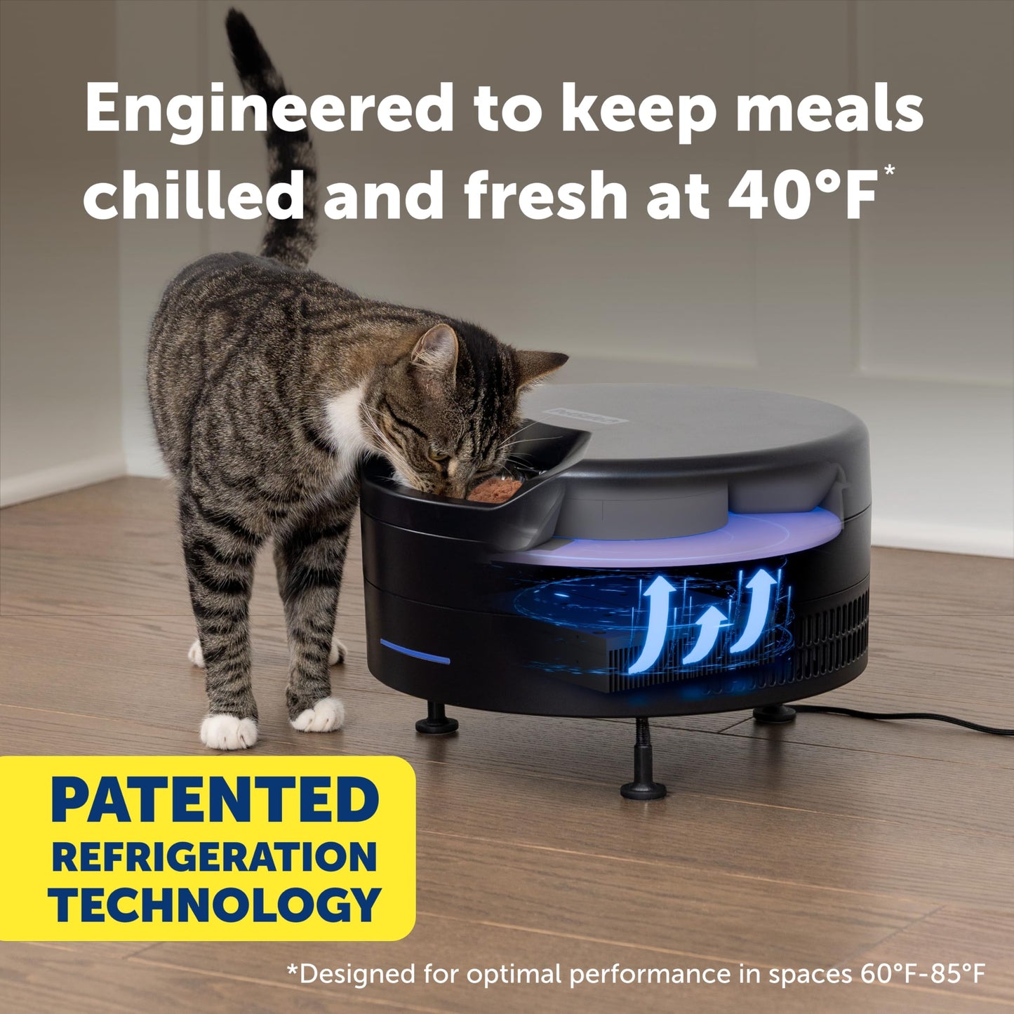 Automatic Wet Food Feeder with Refrigerated Storage