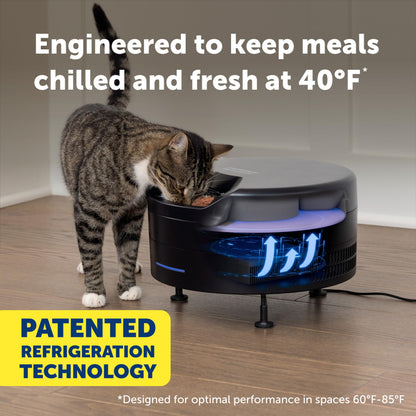 Automatic Wet Food Feeder with Refrigerated Storage