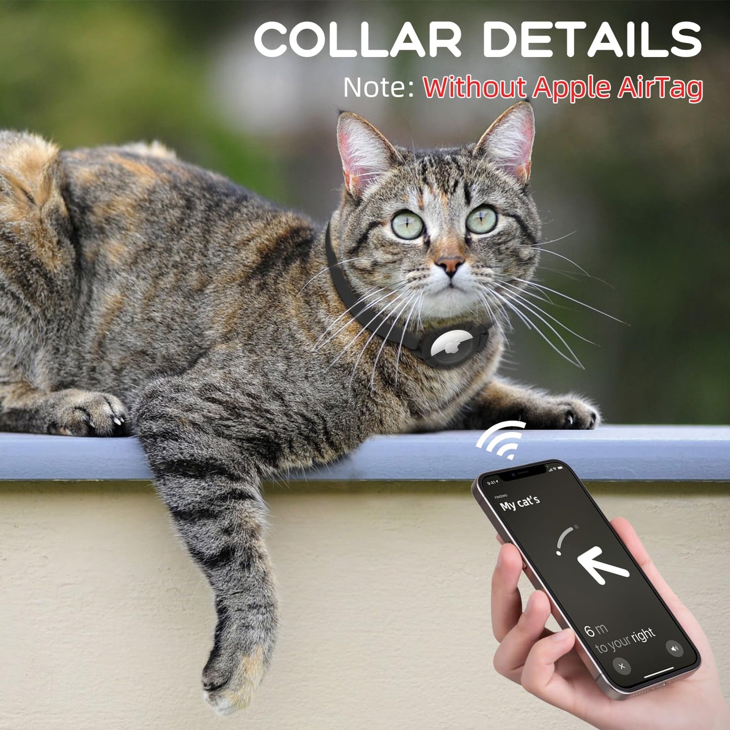 Cat Collar with Flexible Elastic Safety Band