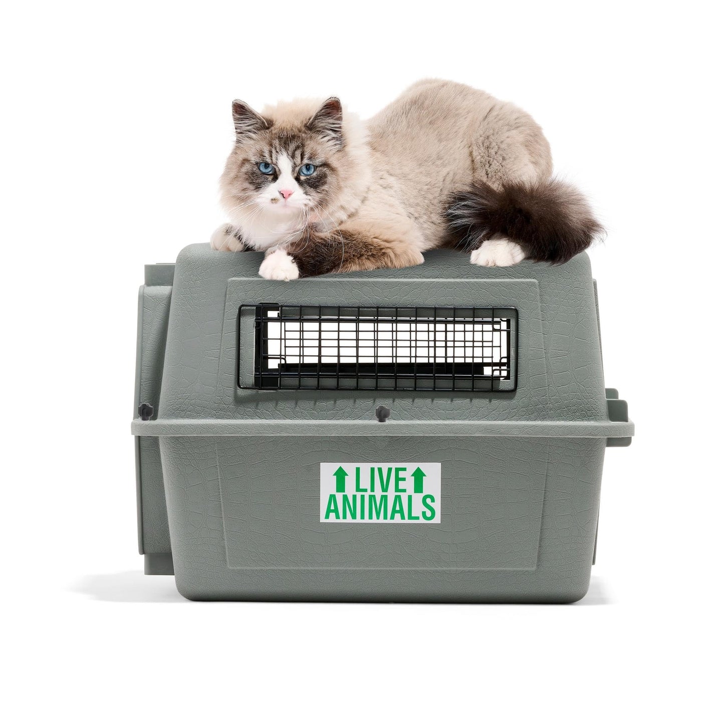 Petmate Sky Kennel IATA Compliant Dog Kennels