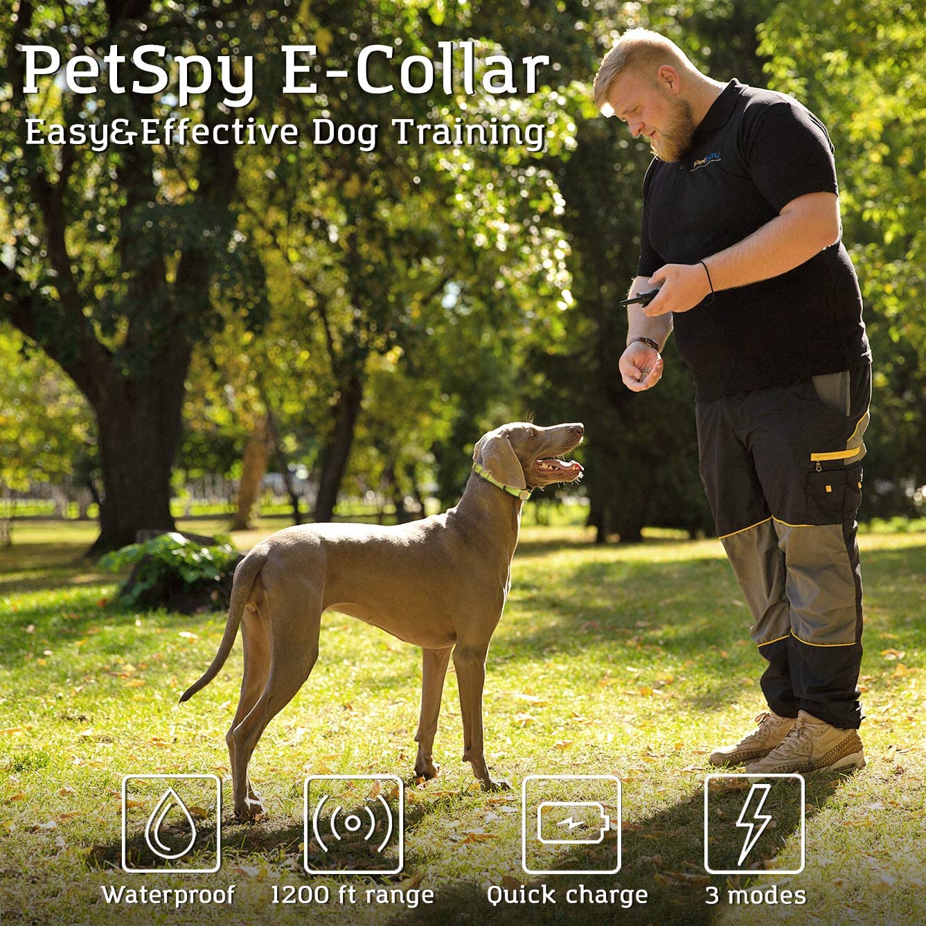 Dog Training Collar with Beep and Vibration Modes