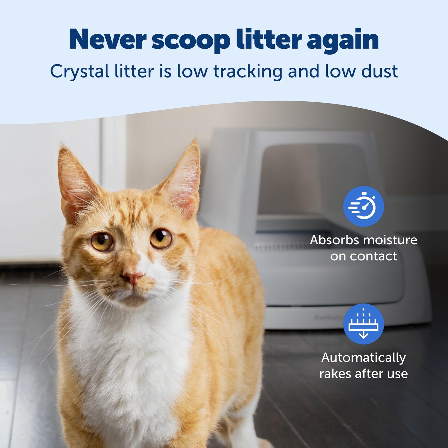Smart Self-Cleaning Litter Box with App Monitoring