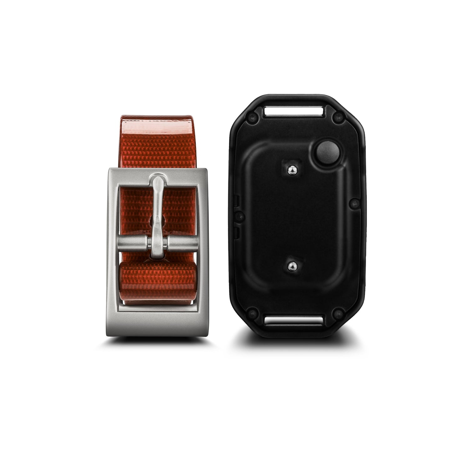 Dog Training Collar with Remote Tracking Support