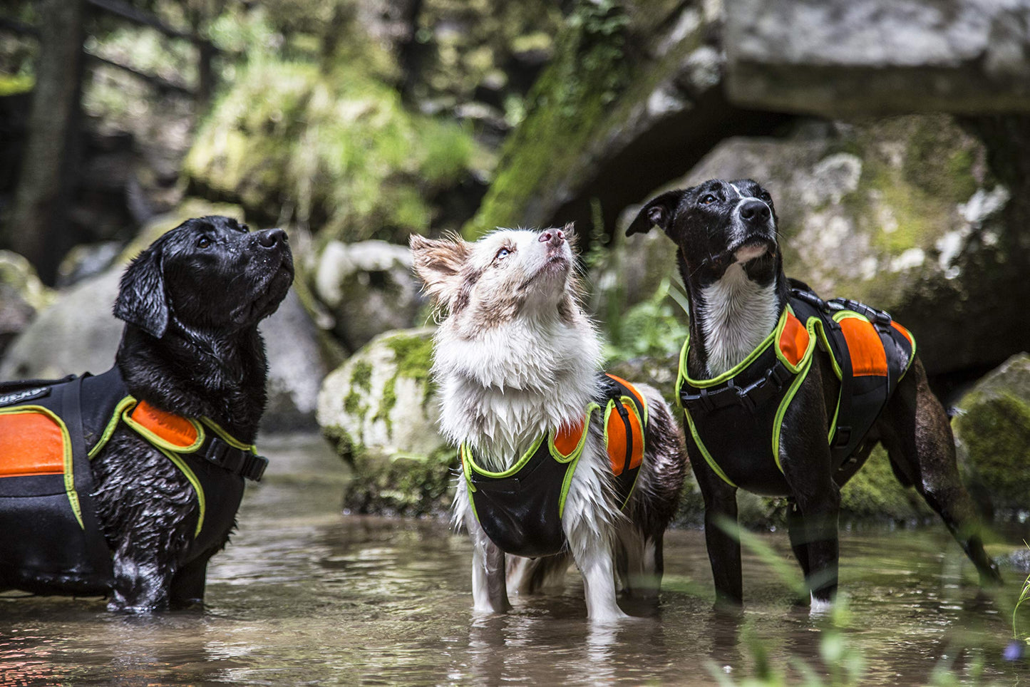 Multifunctional 3-in-1 Dog Vest with Secure Fit