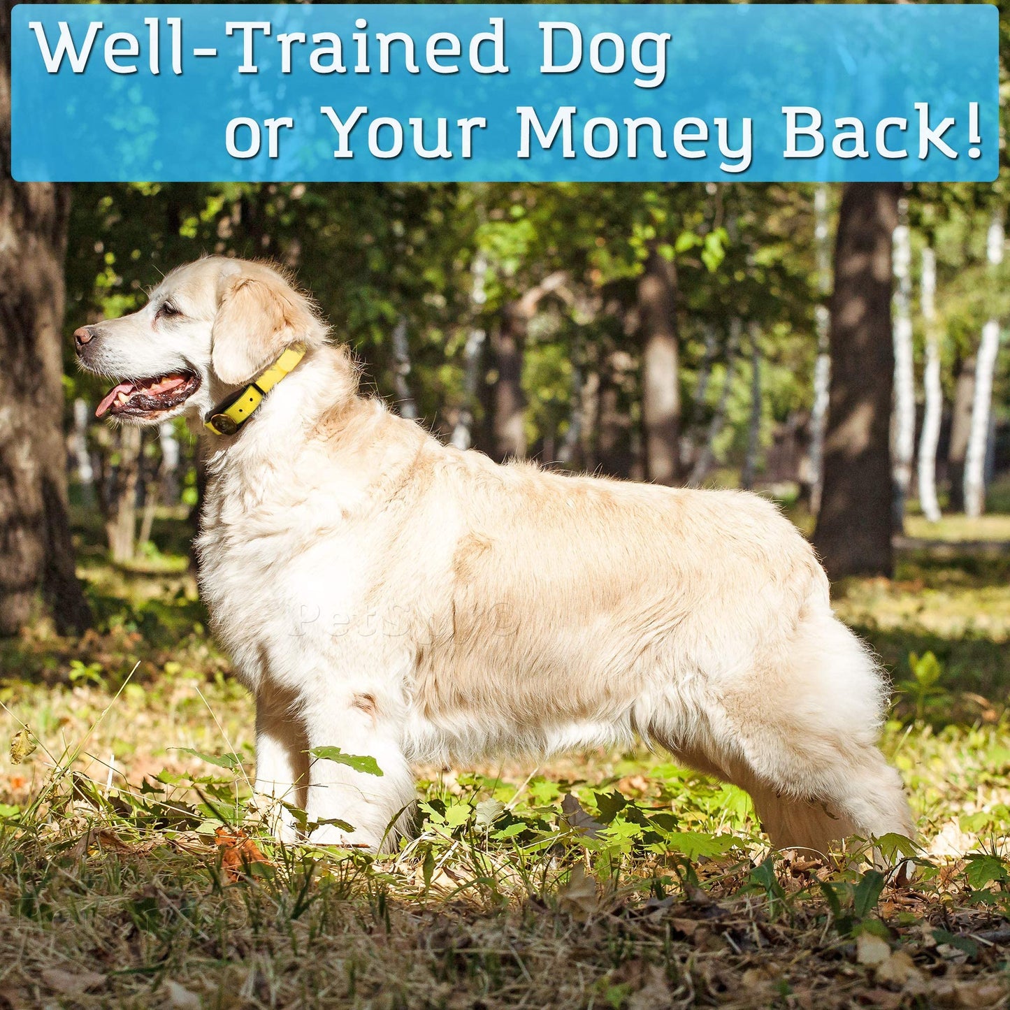 Dog Training Collar with Beep and Vibration Modes