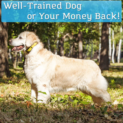 Dog Training Collar with Beep and Vibration Modes