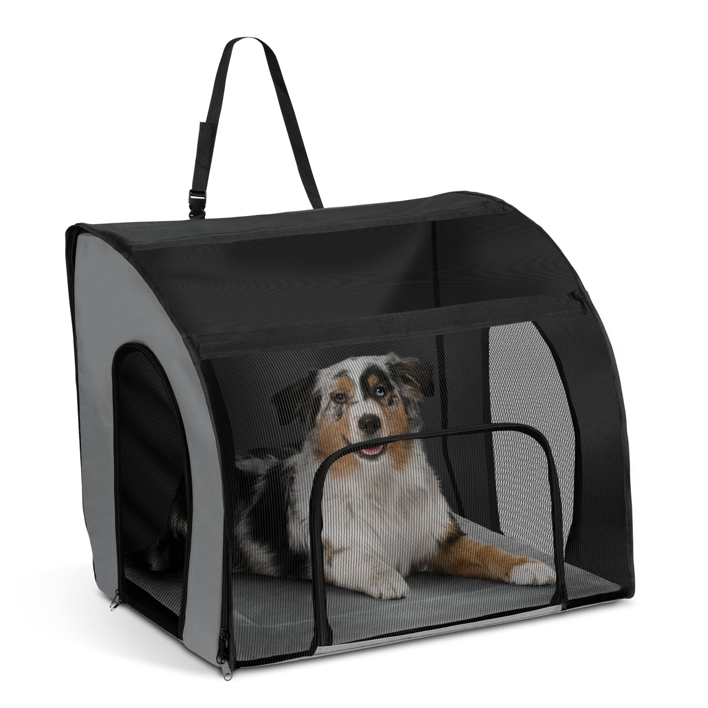 Pet Travel Carrier with Safety-Focused Design